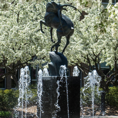 跳羚喷泉在春天与开花的树木的图像